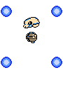 S[Xg