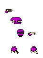 TXP